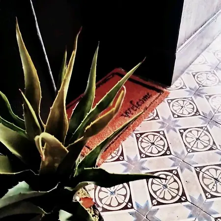 Le Coeur Du Vignoble Capacite 16 Personnes Max Venez Partager Un Moment Agreable En Famille Amis Couples Jeux Petanque Jacuzzi *