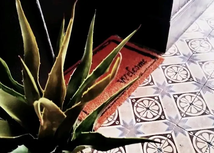 Le Coeur Du Vignoble Amies, Famille, Anniversaire 16 Max Evjf Ou Evjg *