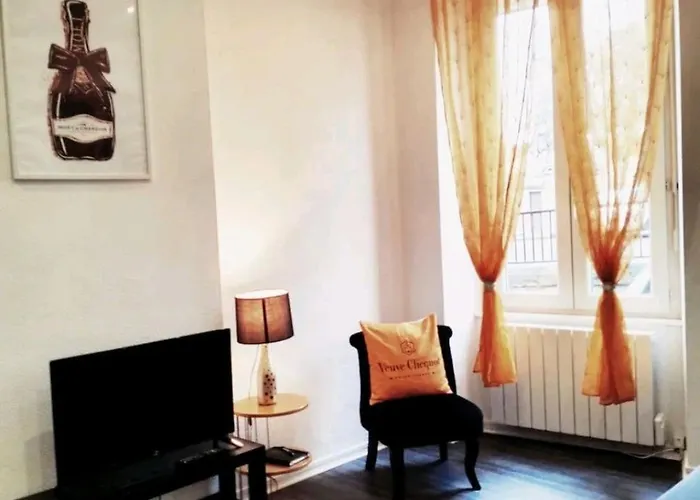 Le Coeur Du Vignoble Amies, Famille, Anniversaire 16 Max Evjf Ou Evjg Semesterbostad Épernay