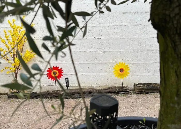 Le Coeur Du Vignoble Amies, Famille, Anniversaire 16 Max Evjf Ou Evjg * Épernay